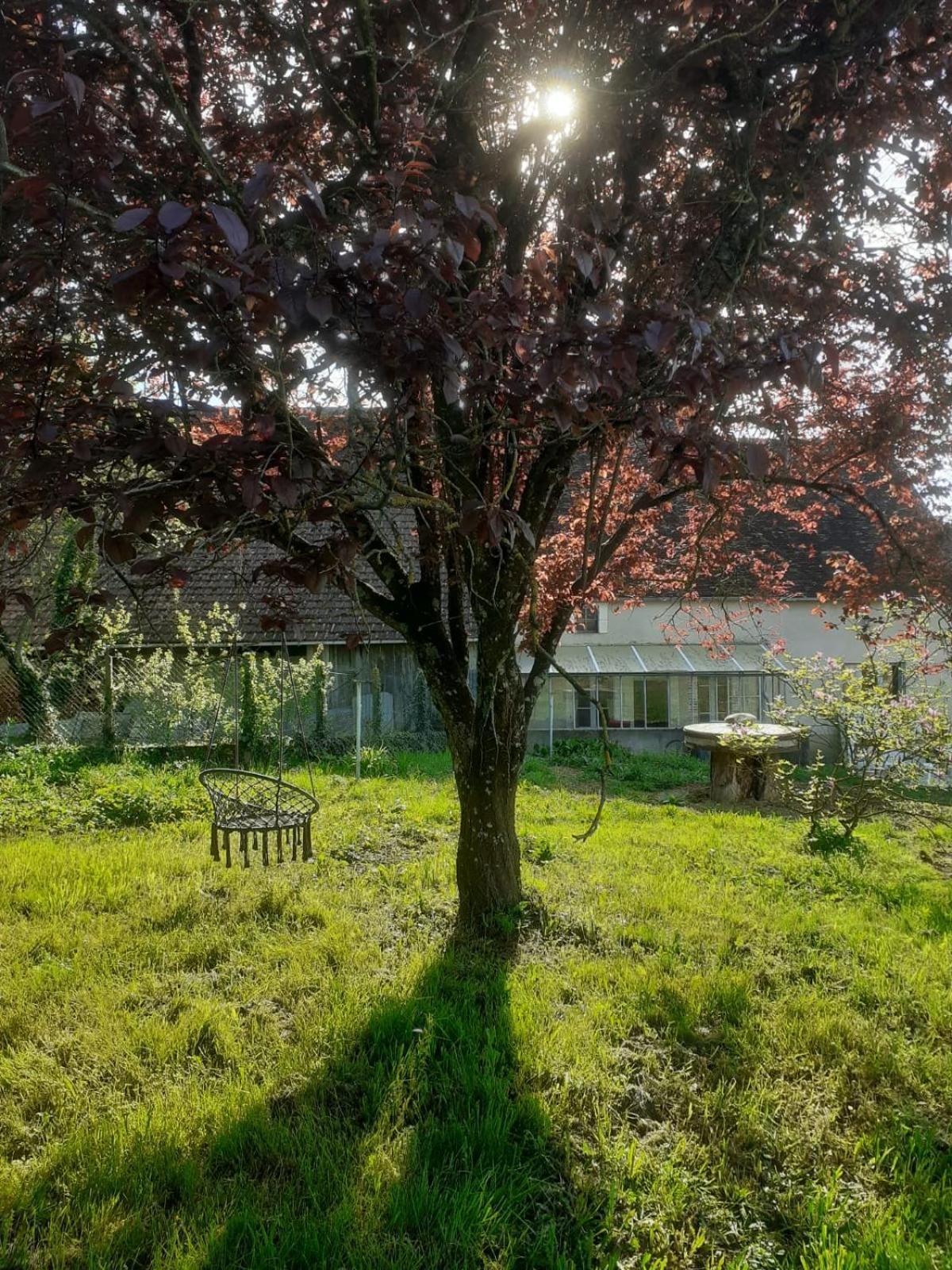 Location De Chambres Bienvenue Chez Meme Treigny Dış mekan fotoğraf