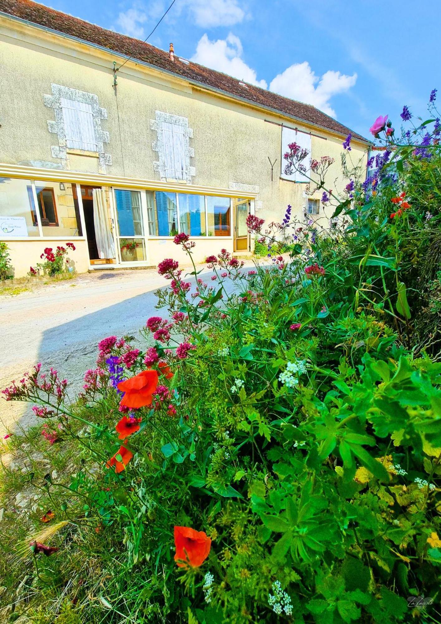 Location De Chambres Bienvenue Chez Meme Treigny Dış mekan fotoğraf